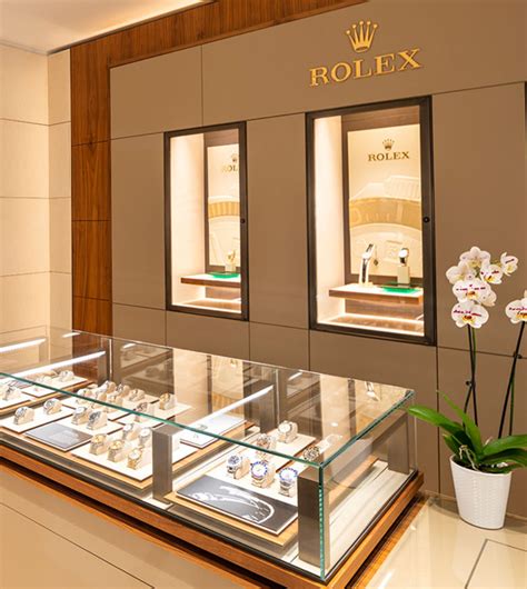 dc taylor rolex|rolex official site.